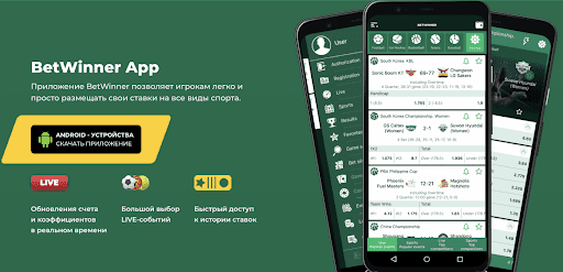 betwinner casino Guía completa, juegos y consejos