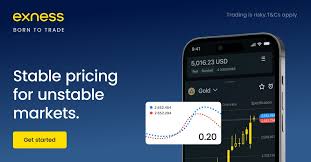 Complete Guide to Exness Bitcoin Withdrawal 3 Complete Guide to Exness Bitcoin Withdrawal 3