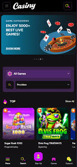 Discover the Exciting Features of Casiny App 1