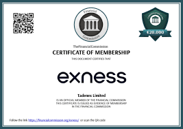 Discover the Financial Opportunities with site exness.com exness group