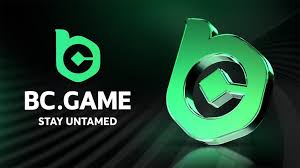 Explore the World of Slots BC.Game A Comprehensive Guide