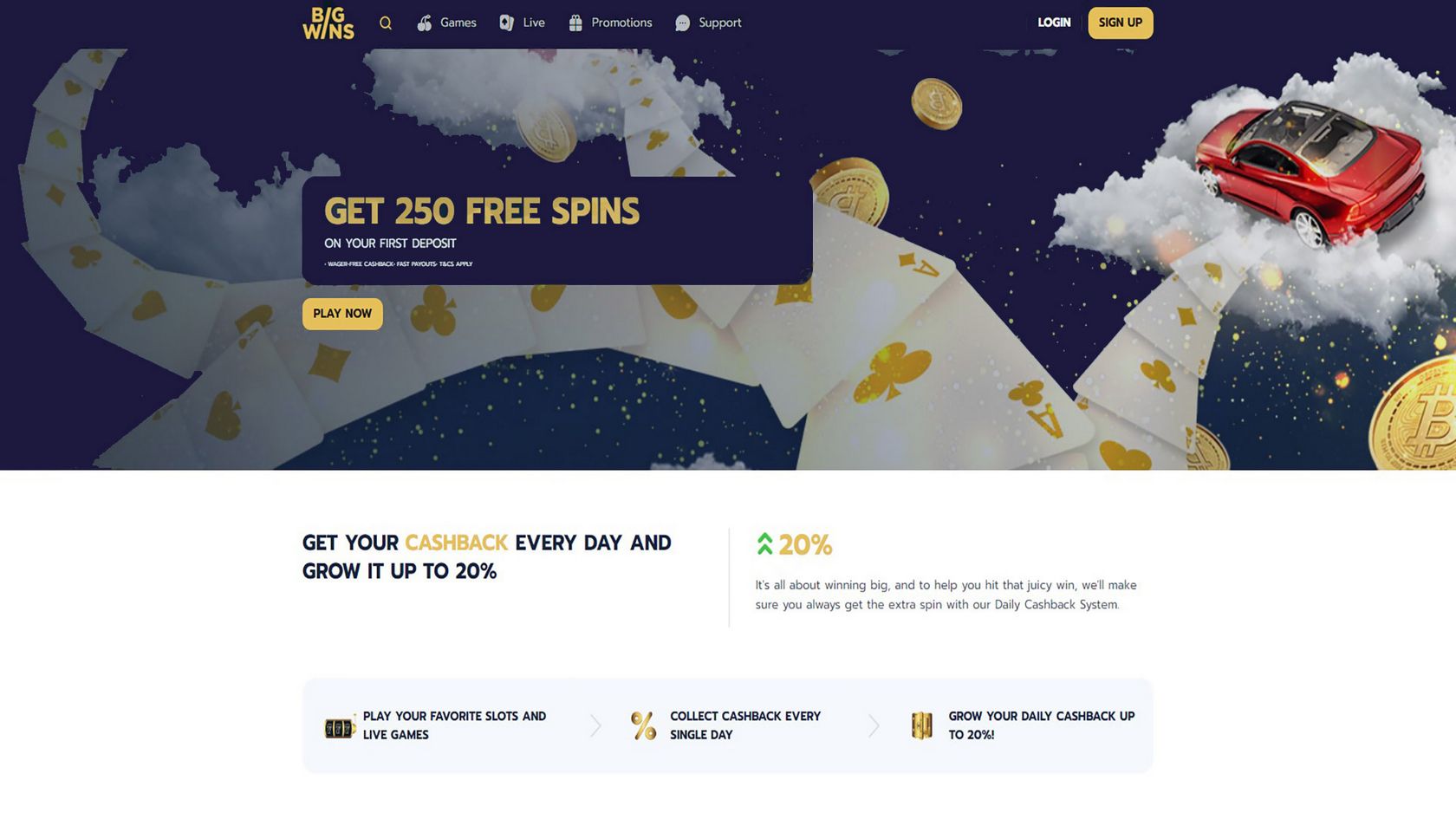 Bigwin Gambling Establishment Review